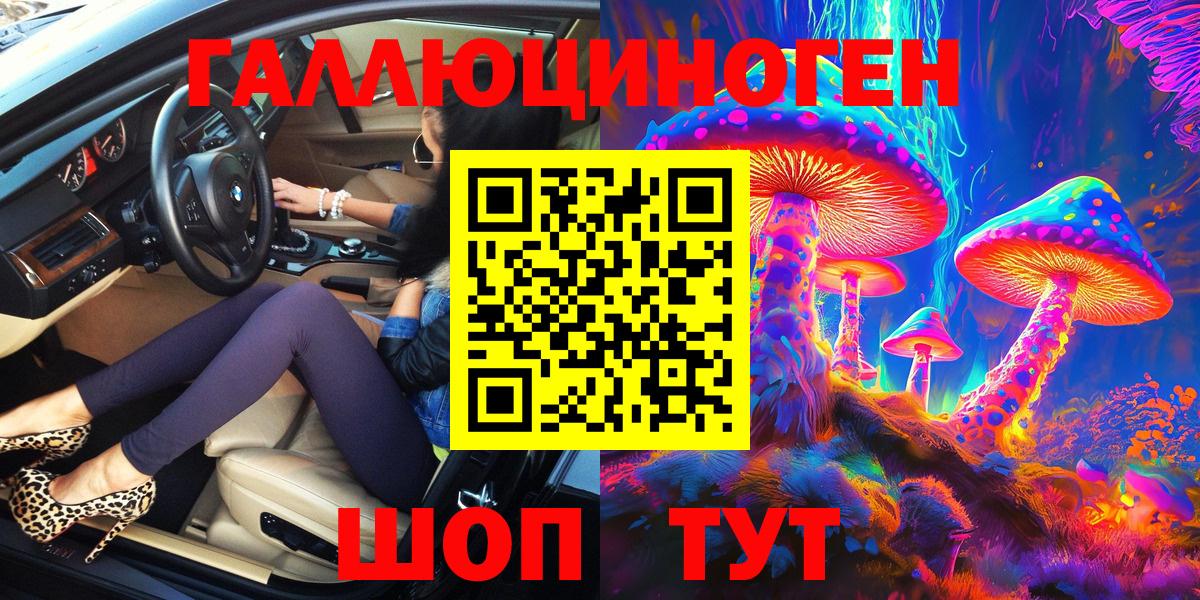 Псилоцибиновые грибы Psilocybine cubensis  Вход с VPN  Зима  Псилоцибиновые грибы Cubensis 