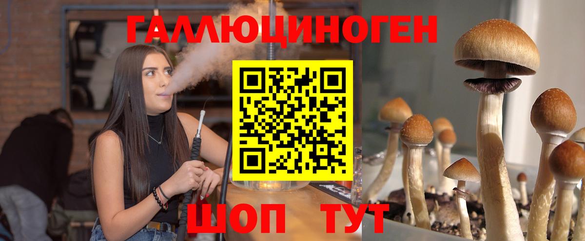 Псилоцибиновые грибы ЛСД Зима